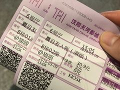 -汉阳天河电影城(王家湾店)