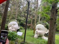 -东平国家森林公园