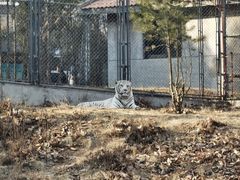 -石家庄市动物园