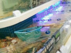 -大众海鲜(巨龙北路店)
