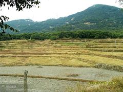android_upload_pic-草庵摩尼教遗址公园