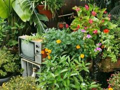 -胡桃里乐队酒馆(鎏嘉码头店)