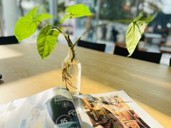 -木嘛working coffee&bar(碧道馆店)