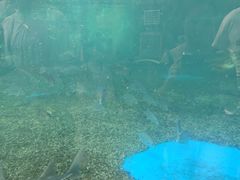 -广州海洋馆