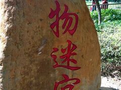 -广东茂名森林公园