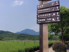 -龙坞茶村