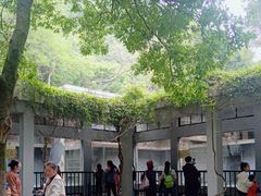 -柳州市动物园