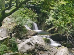 -龙窝子