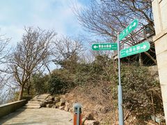 -紫金山山顶公园