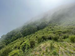 -白草畔自然风景区