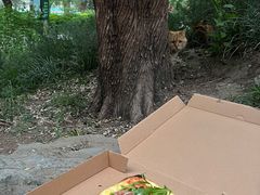 -EATALIA意塔利意式餐厅(鼓楼店)