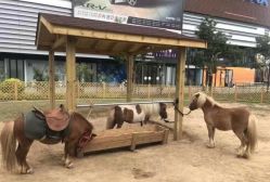 -萌宠亲子动物乐园(槐房万达店)