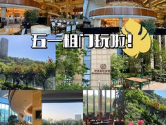 -济南喜来登酒店
