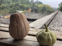 -杨家堂村