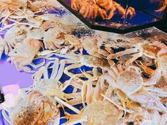 -蟹道乐(道顿堀本店)