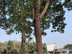 -白鹭湾湿地公园