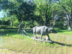 -中国农业博物馆