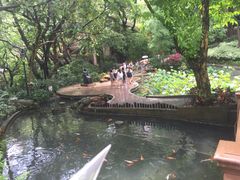 -香港大学