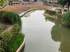-龙潭水乡