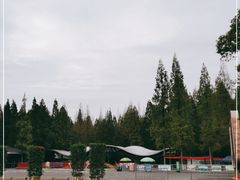 -东平国家森林公园