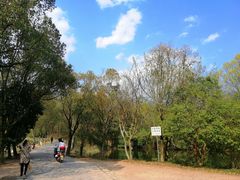 -天台山赤城山景区