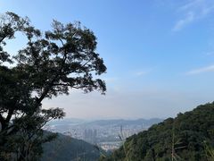 -阳台山森林公园