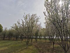 -阳澄湖半岛旅游度假区