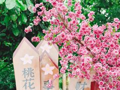 -江门古劳水乡旅游区
