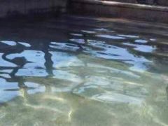 -咸宁万豪温泉谷度假区