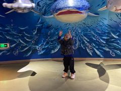 -烟台海昌鲸鲨海洋公园