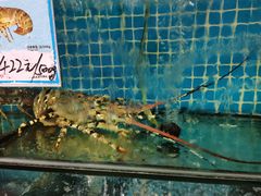 -范饭椰林川湘味海鲜·椰子鸡(三亚湾椰梦长廊店)