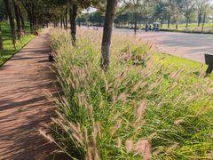 -汉长安城未央宫国家考古遗址公园