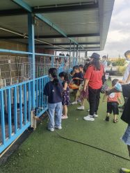 -小蜜蜂农场(凯德七宝购物广场店)