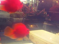 门面-亚马逊海鲜自助餐厅(惠山万达店)