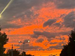 -马白开来特色羊排揪片子  (总店)