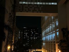 -香港大学