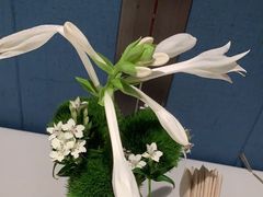 -顺峰(农展馆店)