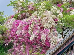 -深圳国际园林花卉博览园