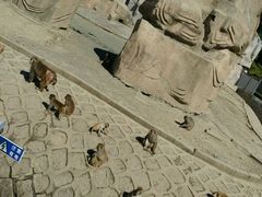 android_upload_pic-哈尔滨北方森林动物园
