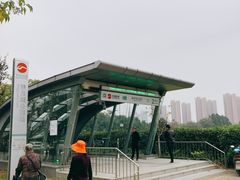 -映月湖中央公园