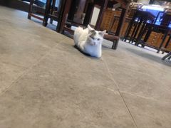 -陕拾叁(袁家村店)