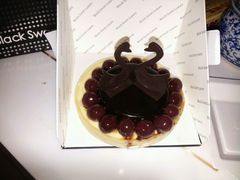 large_owC6_765d000043231260-BLACKSWAN黑天鹅(环球店)
