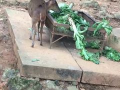 -昆明动物园