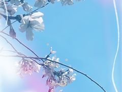 -龙美术馆(西岸馆)