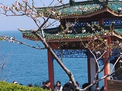 -烟台山景区
