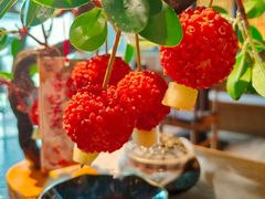 -唐猫庭院·千年陕菜(赛格国际购物中心店)