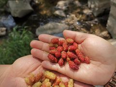 -碓臼峪自然风景区