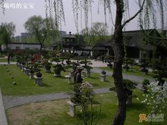 -盆景园(扬州大运河文化旅游度假区)