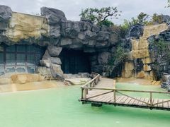 -吴淞炮台湾湿地森林公园烧烤区