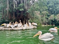 -珠海长隆海洋王国